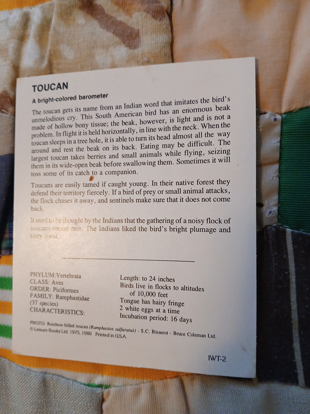 Animal Fact Cards KOALA-TOUCAN-TIGER-Leisure Books LTD 1975/1986 Flash Cards