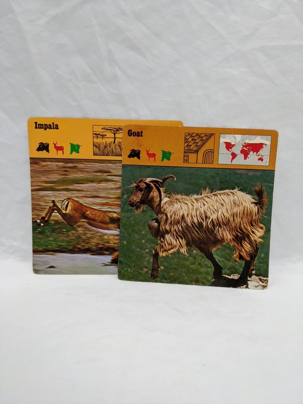 Lot Of (29) 1975 Rencontre Mammals IV Education Cards