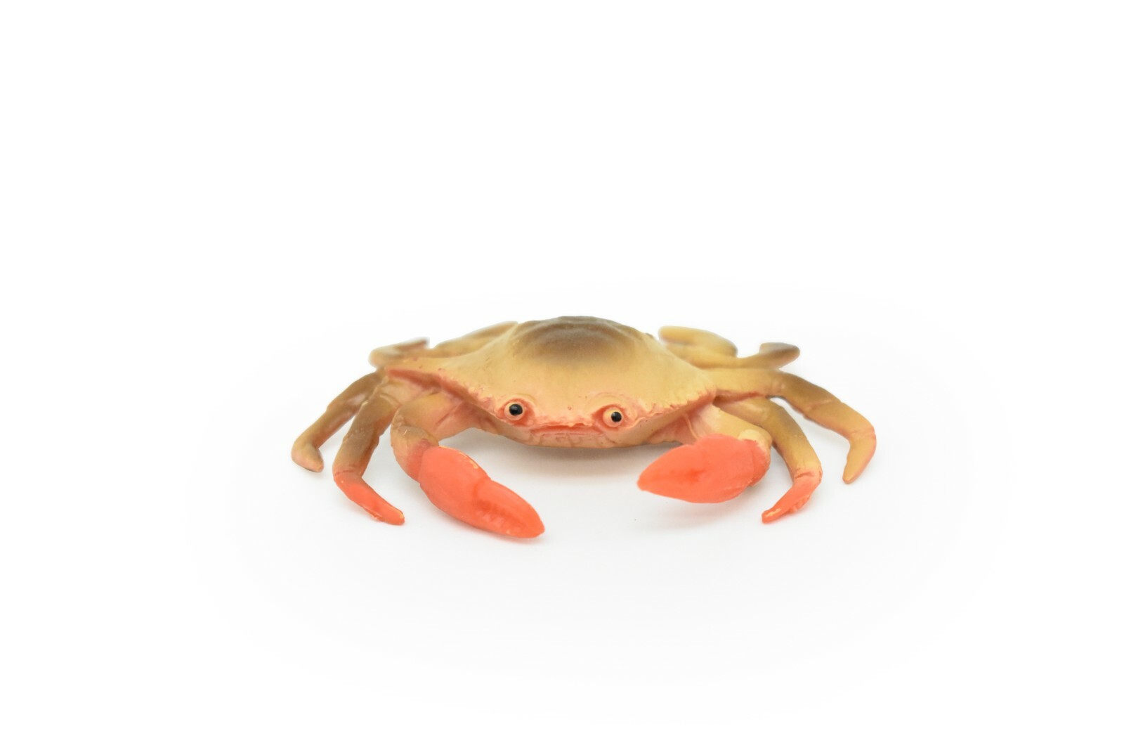 Crab Toy, Model, Figure, Quality Rubber Replica, Hand Painted 2 1/2″ CWG223 BB46