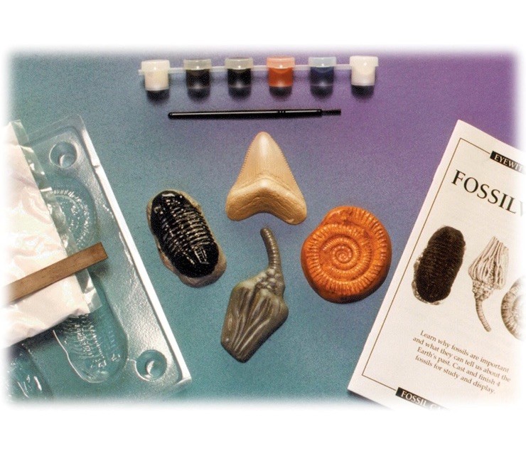 Eyewitness Kit Fossilworks Skullduggery Perfect Casting Paint Activity Toy NEW