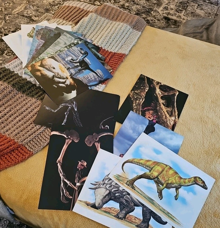 Dinosaur Learning Cards Large Vintage Glossy 8.5″x 11″ Lot (15) Silver Burrdett