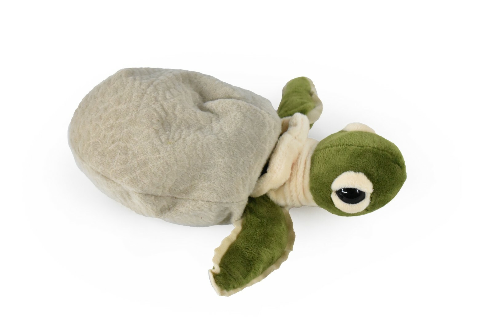 Sea Turtle Hatching From Egg, Very Nice Plush Animal 8″ PZ033-B463