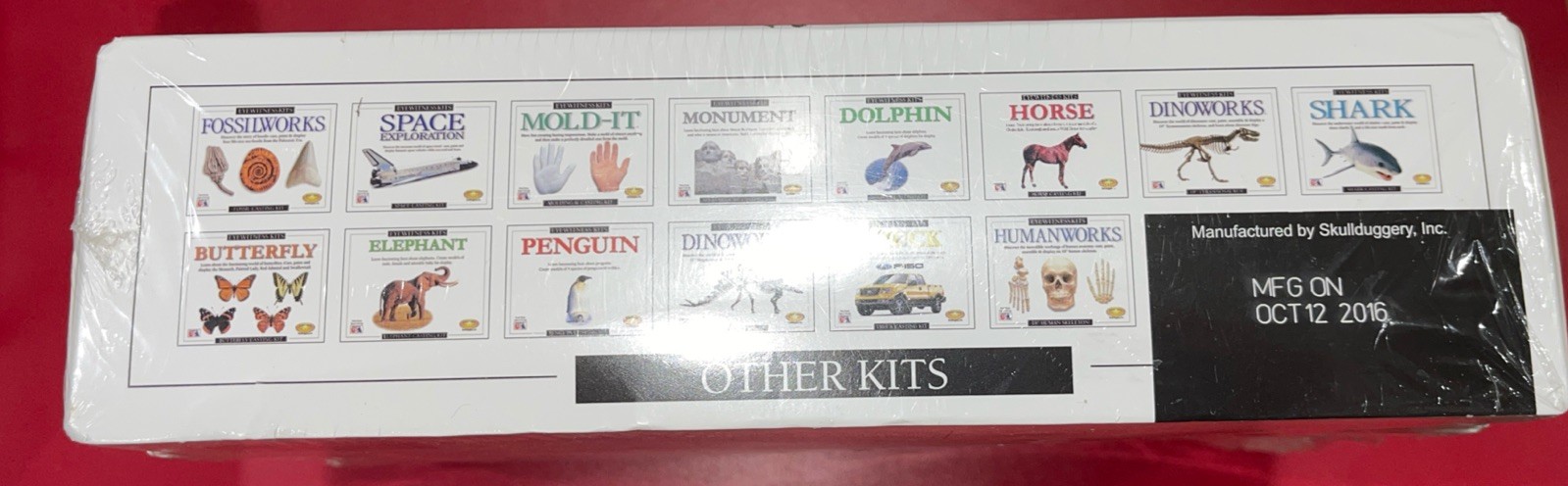 Eyewitness Kit Fossilworks Skullduggery Perfect Casting Paint Activity Toy NEW