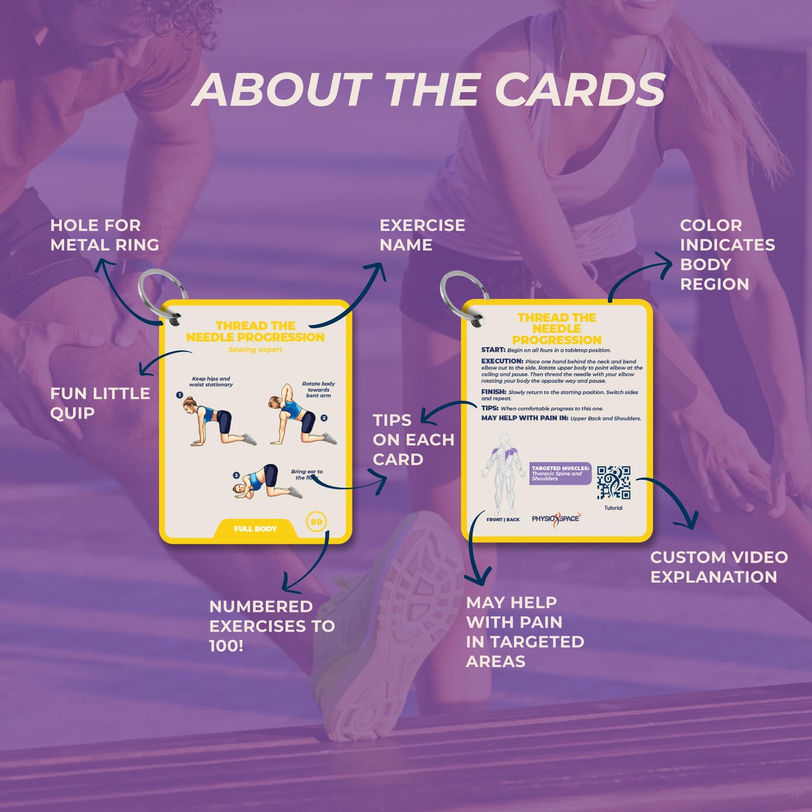 100 Stretching Exercise Flash Cards – Physical Therapy Stretches for Common C…