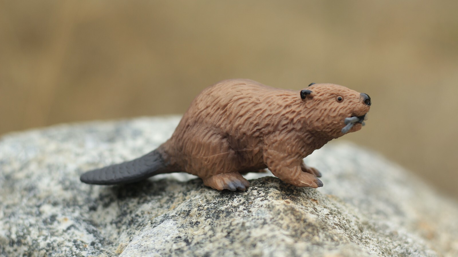 Beaver, Castor, Very Nice Plastic Animal, Toy, Kids Realistic Figurine 4.5 F1651