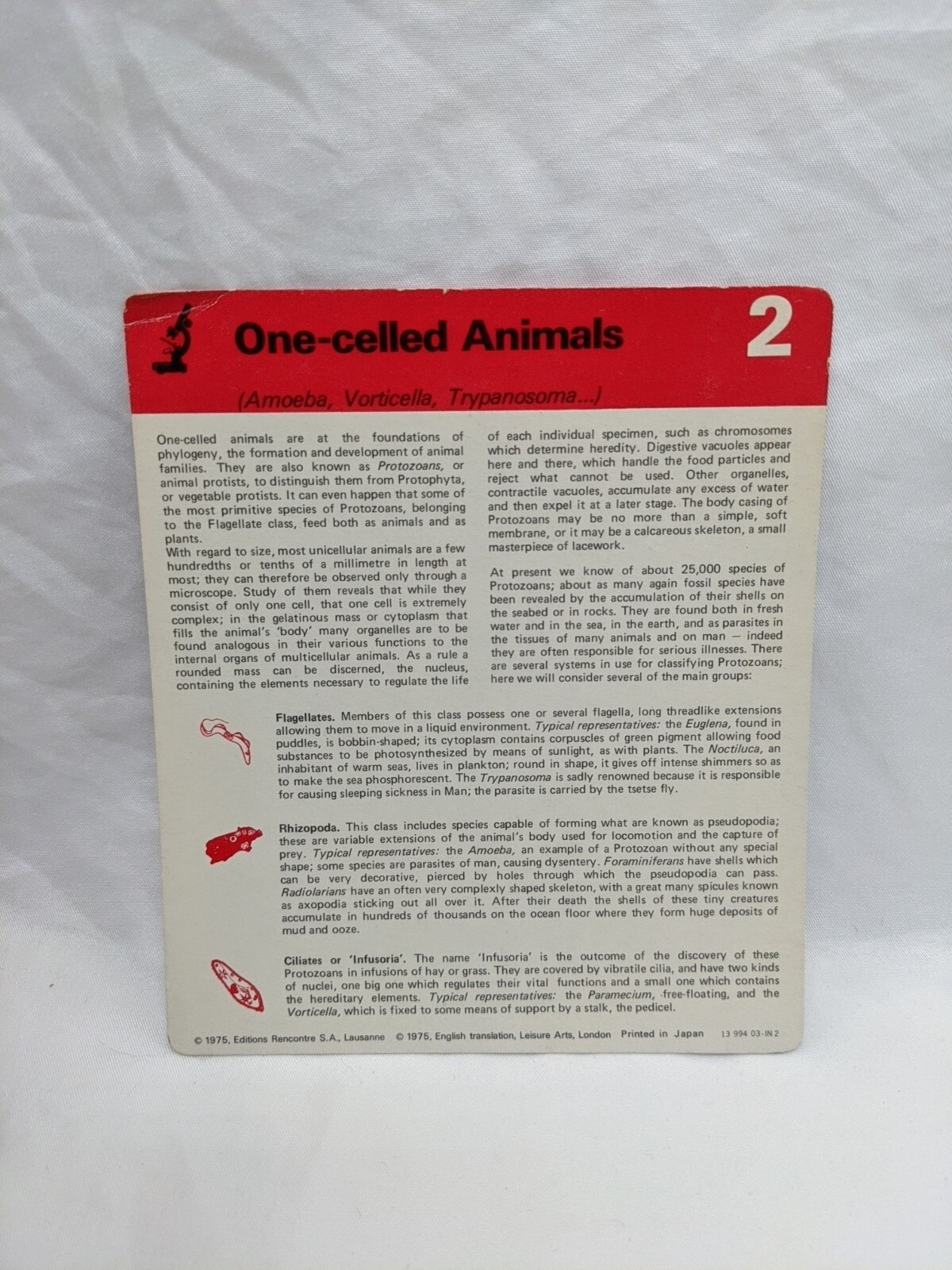 Lot Of (6) 1975 Rencontre One Celled Animals Education Cards