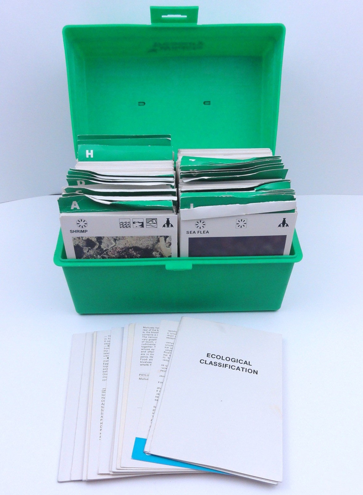 Illustrated Wildlife Treasury 1975 Animal Fact Green Cards & Green Case
