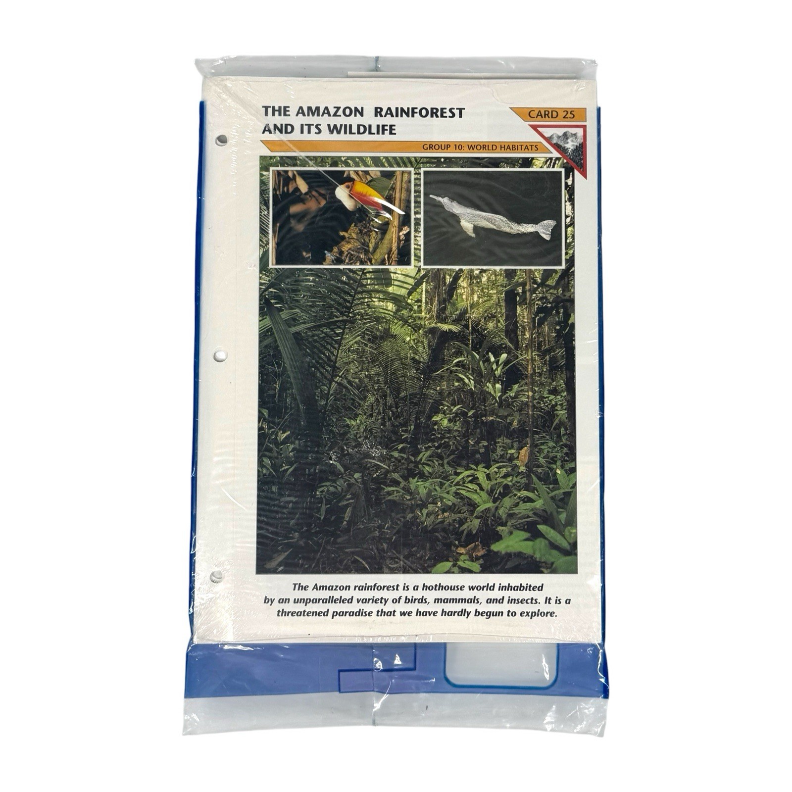 Vintage NOS Wildlife Fact File Binder + 13 Sealed Packs Of Cards