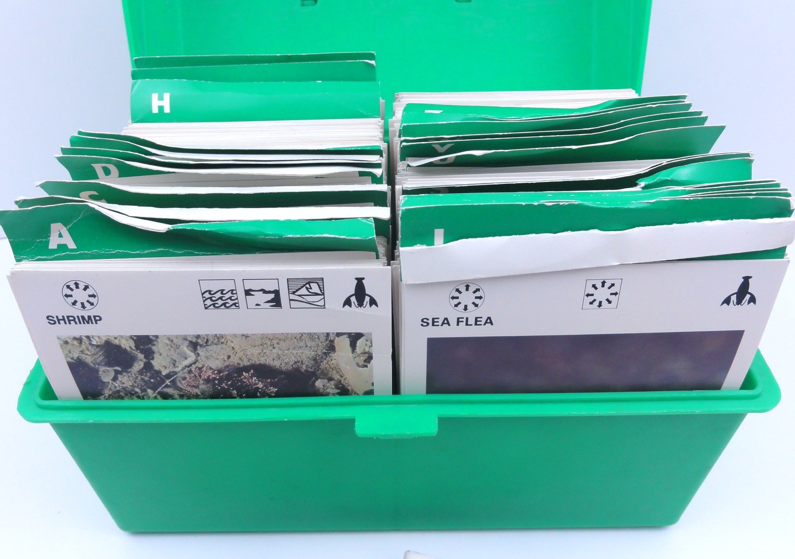 Illustrated Wildlife Treasury 1975 Animal Fact Green Cards & Green Case