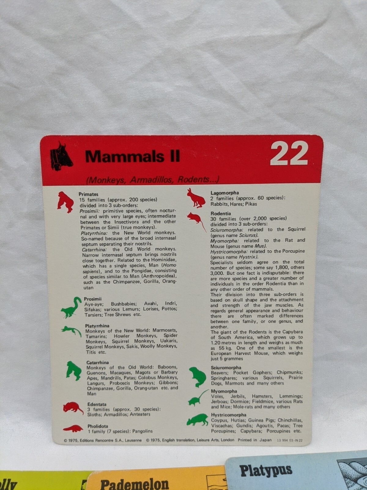 Lot Of (36) 1975 Rencontre Mammals I And II Education Cards