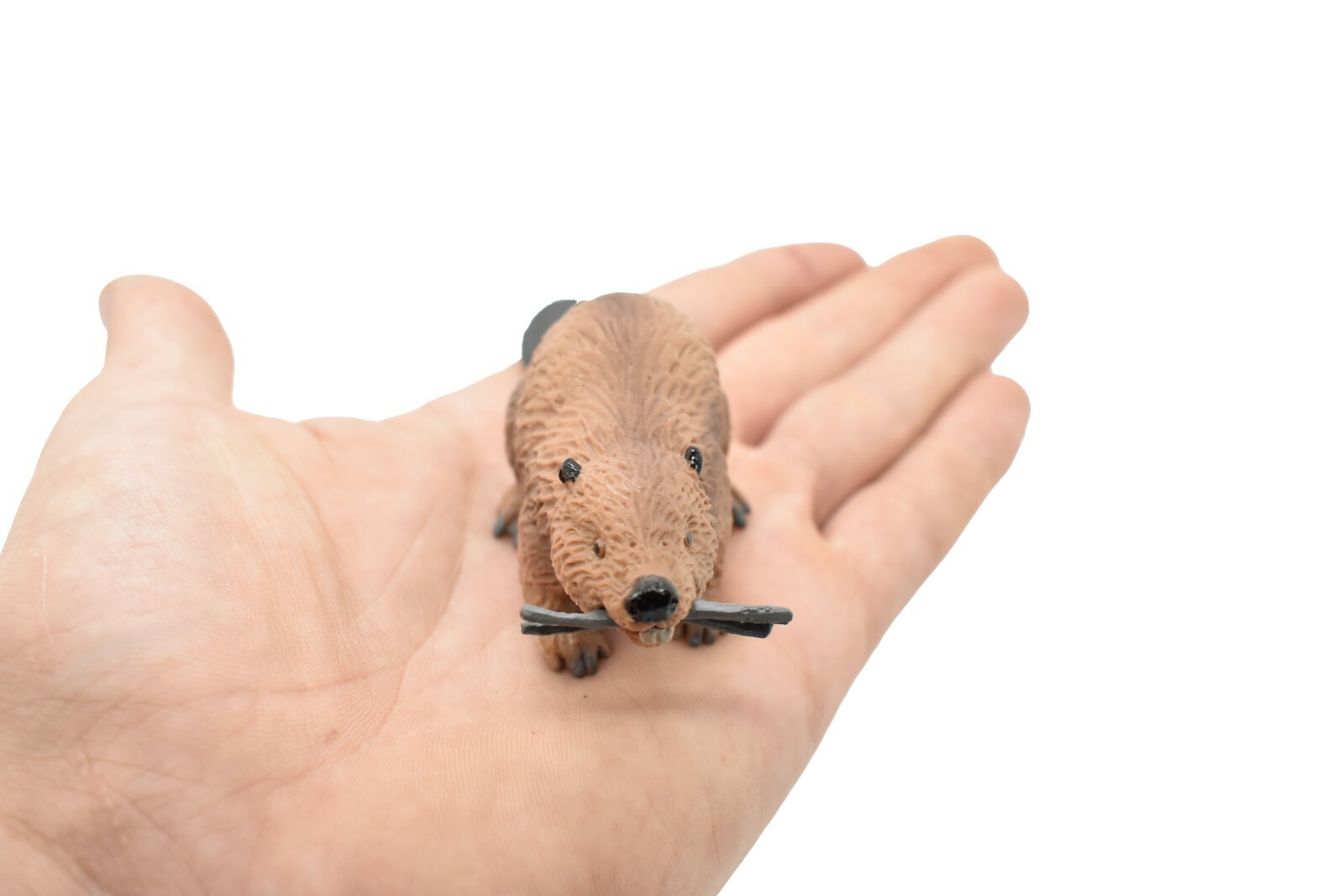 Beaver, Castor, Very Nice Plastic Animal, Toy, Kids Realistic Figurine 4.5 F1651