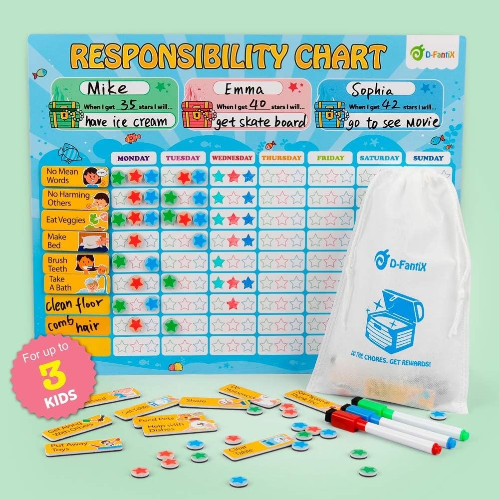 Magnetic Behavior Chart for Good Behavior and Daily Routine
