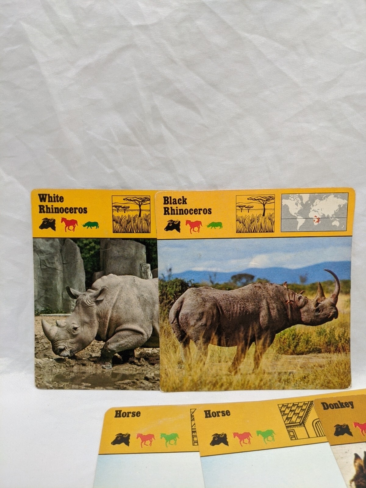 Lot Of (29) 1975 Rencontre Mammals IV Education Cards