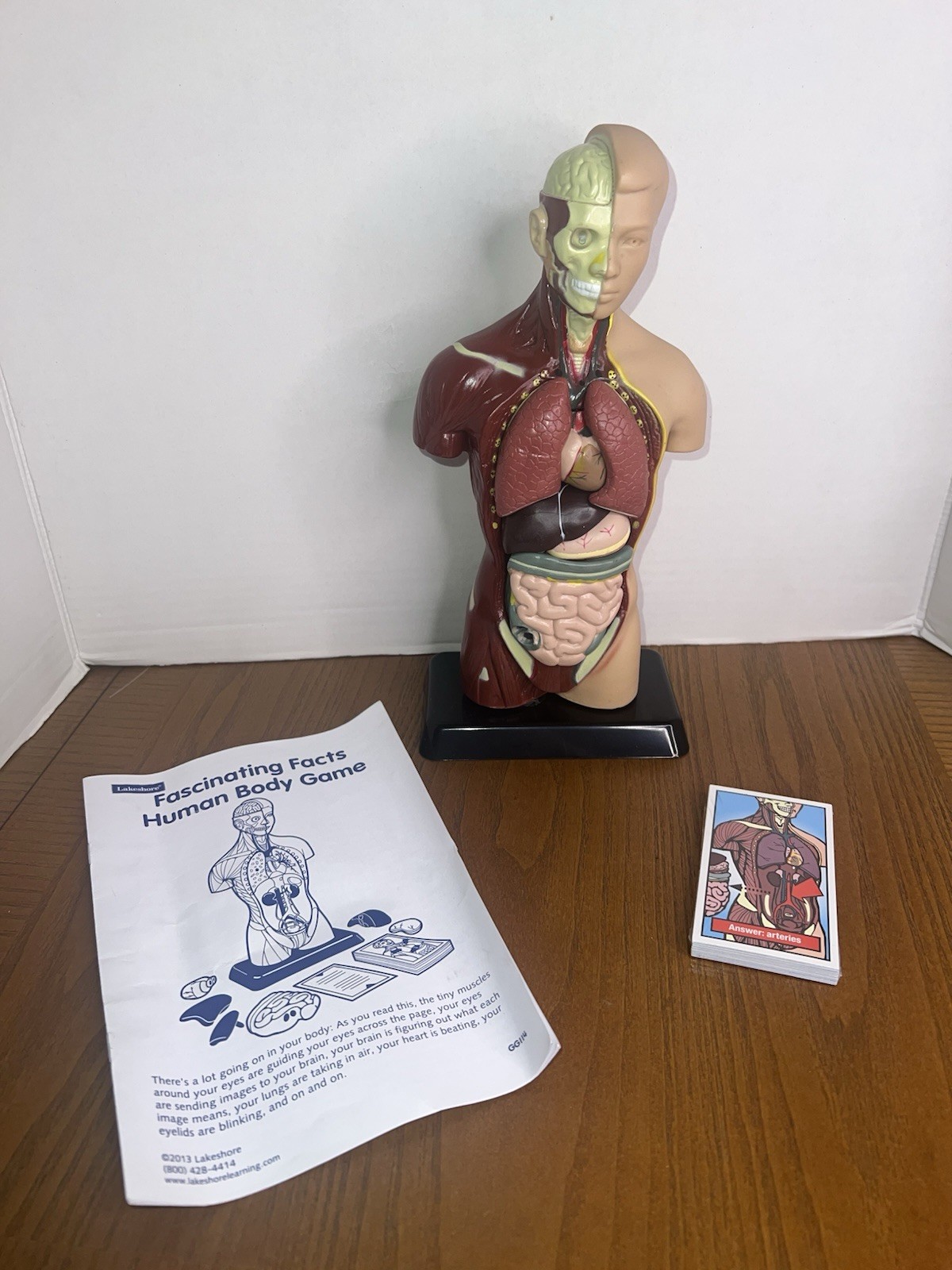 Lakeshore Human Body Take Apart Model Student Science Knowledge 10.5″ Facts Game