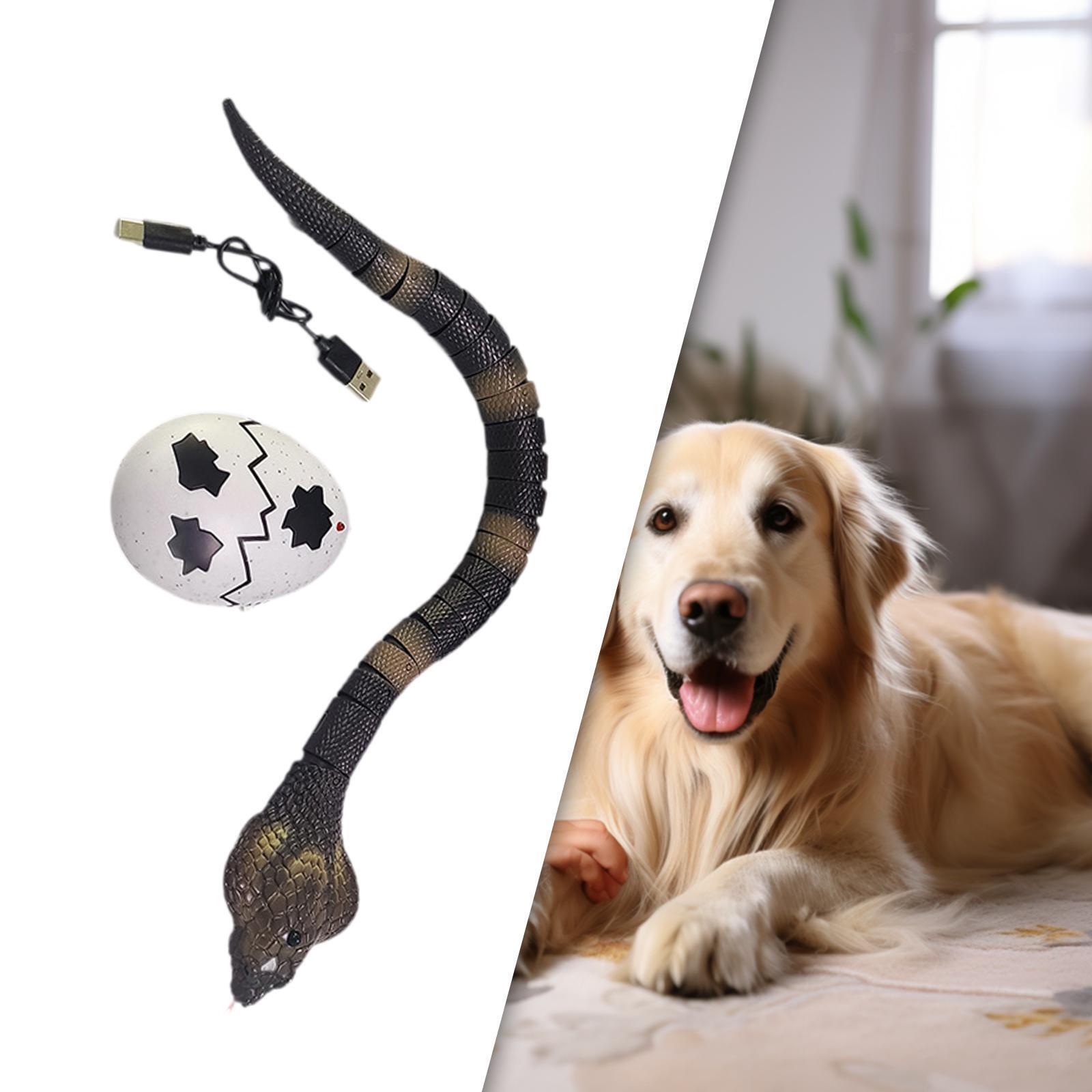 Remote Control Snake Right Animal Crawling Vehicle for Halloween Party Favor