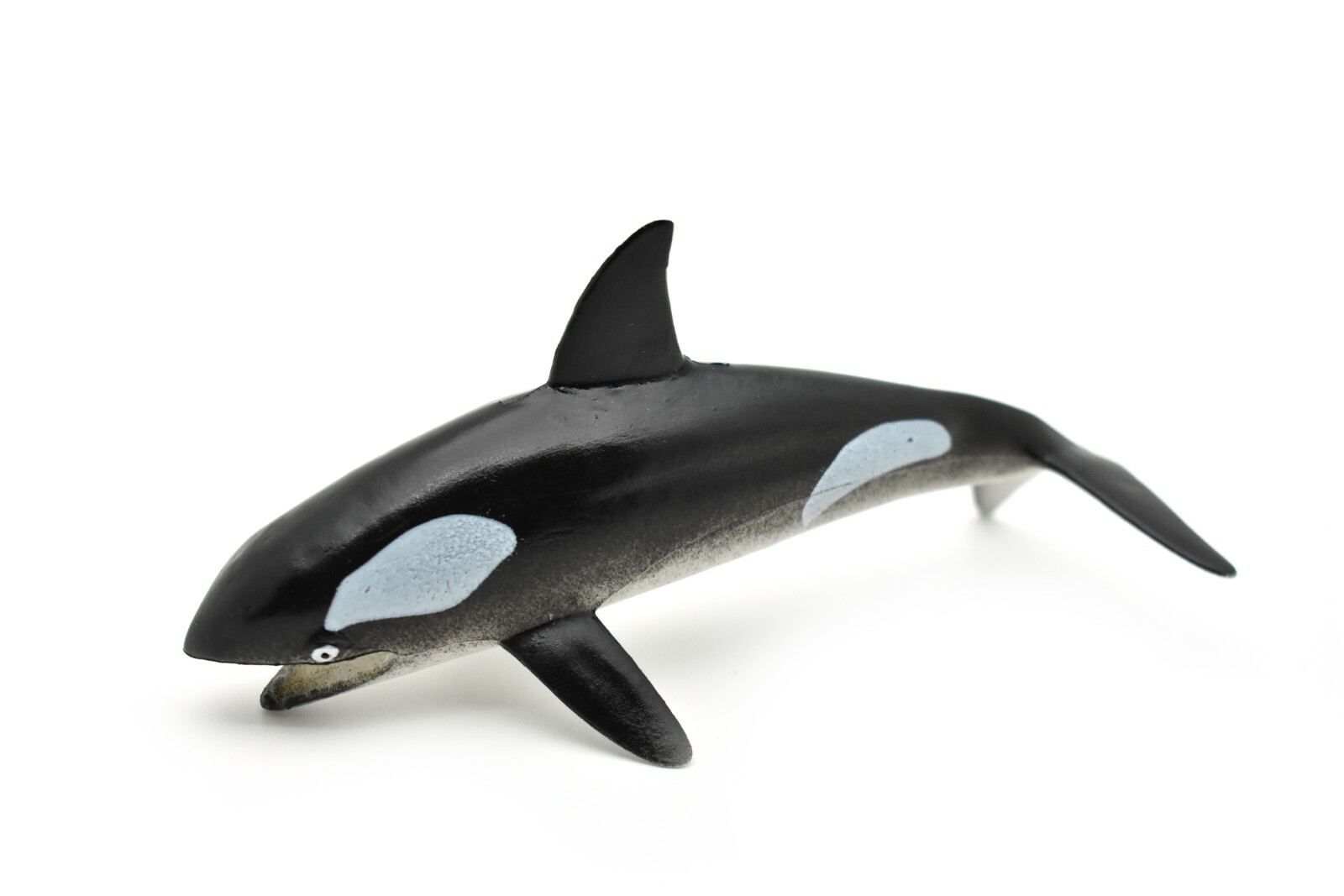 Orca, Killer Whale, Hollow Rubber Replica 5″ Long ~ F0020-B22