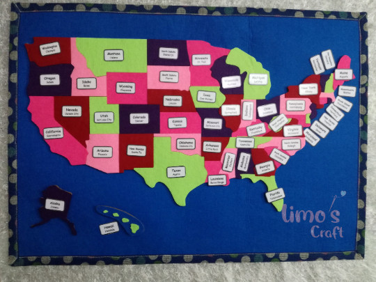 Montessori United States Of America Puzzle Map, Geography Lesson, board map
