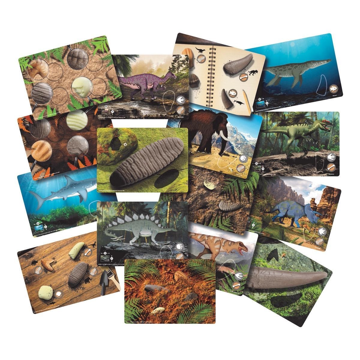 Yellow Door Sensory Prehistoric Teeth Stones and Activity Cards Set