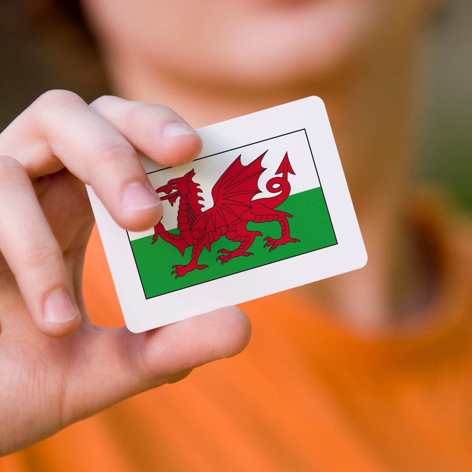 Flags of the World Educational Flashcards