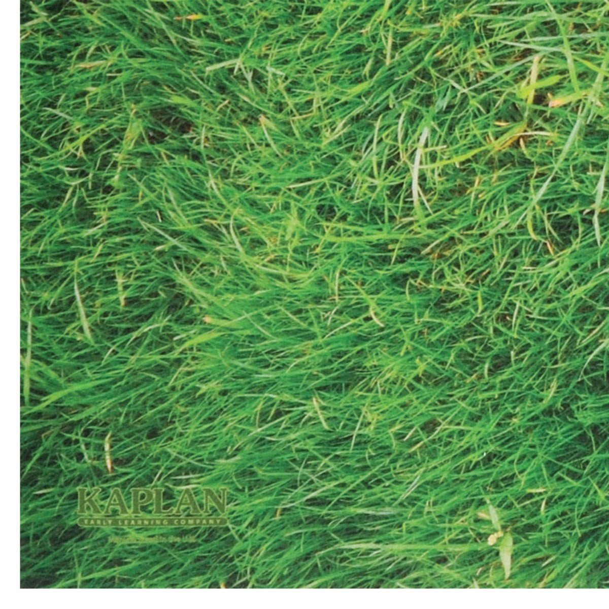 Kaplan Early Learning STEM Play Mat With Rubber Backing – Grass Pattern