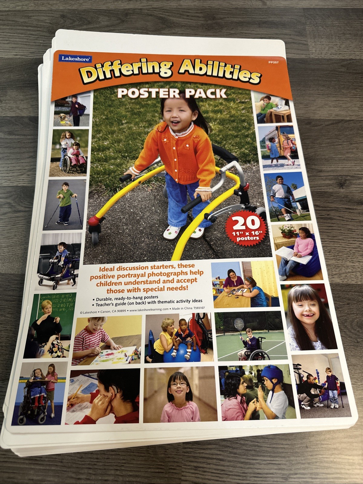 Lakeshore Learning Differing Abilities Poster Pack – 20 11″X 16″ Posters