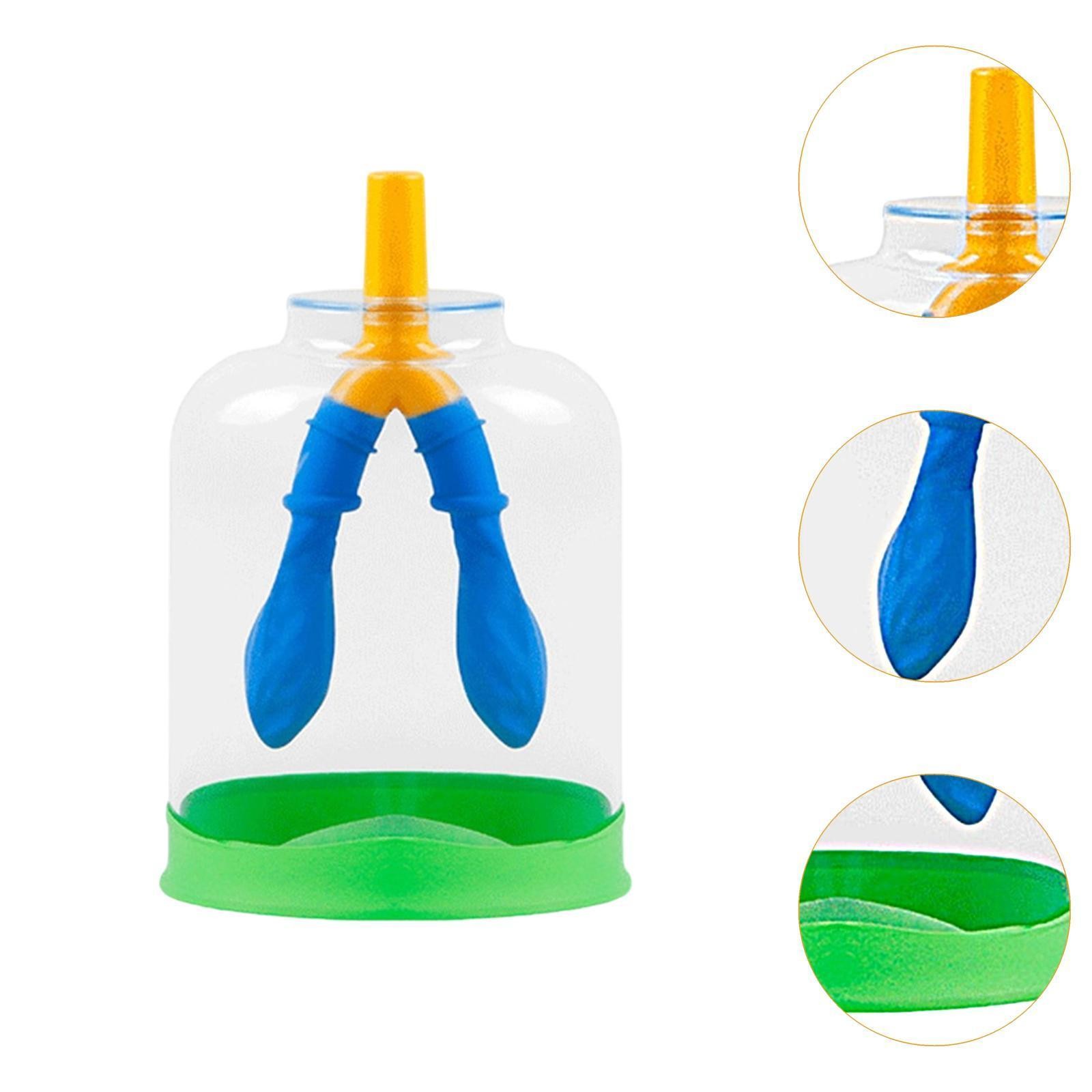 Lung Breathing Demonstration Model Biology Teaching Props for Boys and Girls