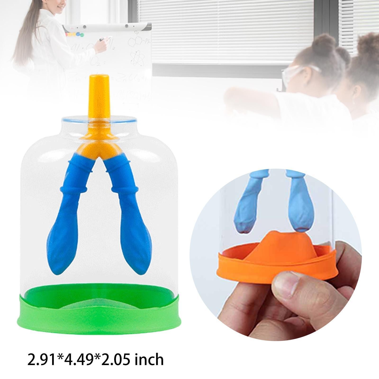 Lung Breathing Demonstration Model Biology Teaching Props for Boys and Girls