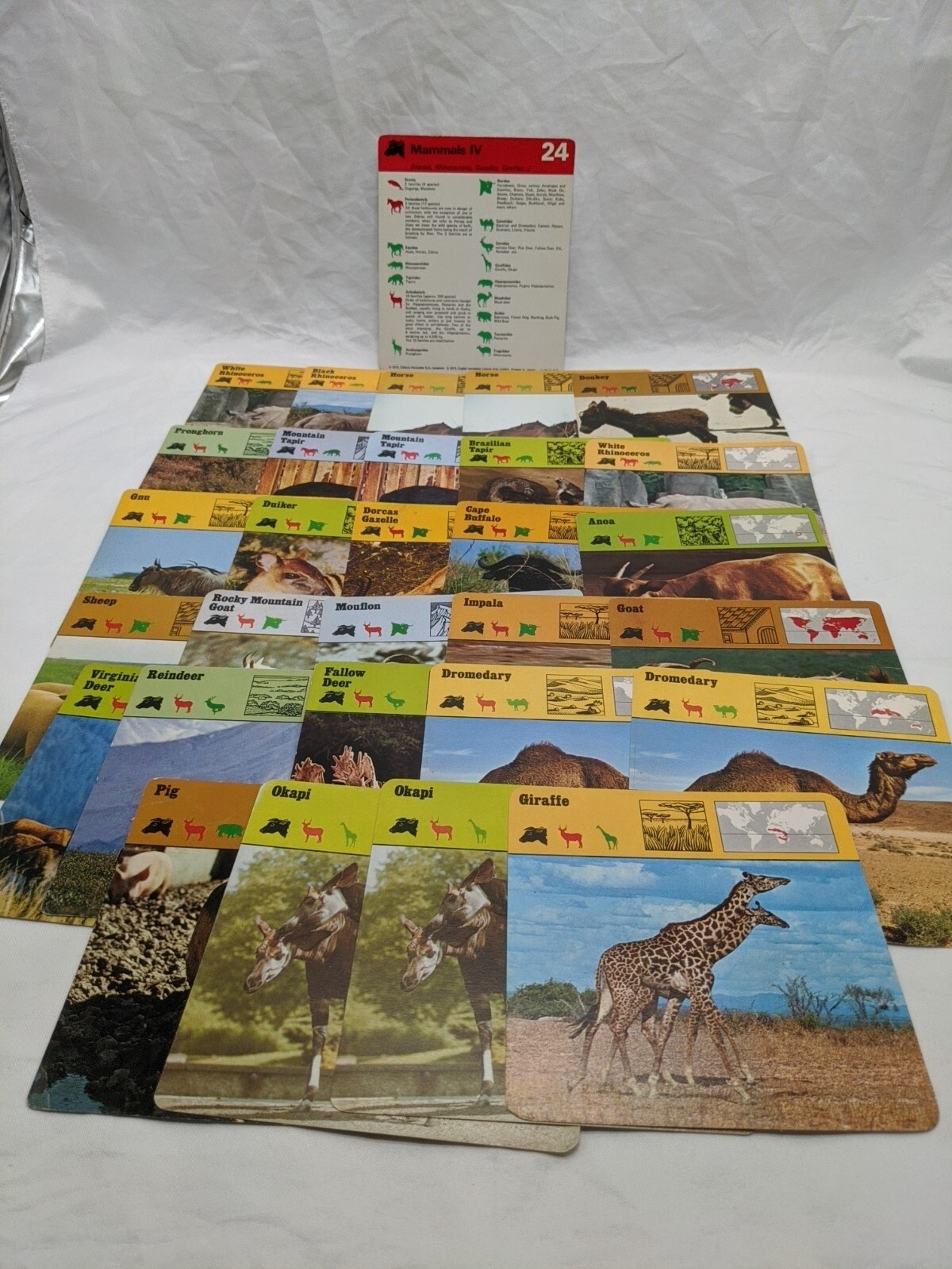 Lot Of (29) 1975 Rencontre Mammals IV Education Cards