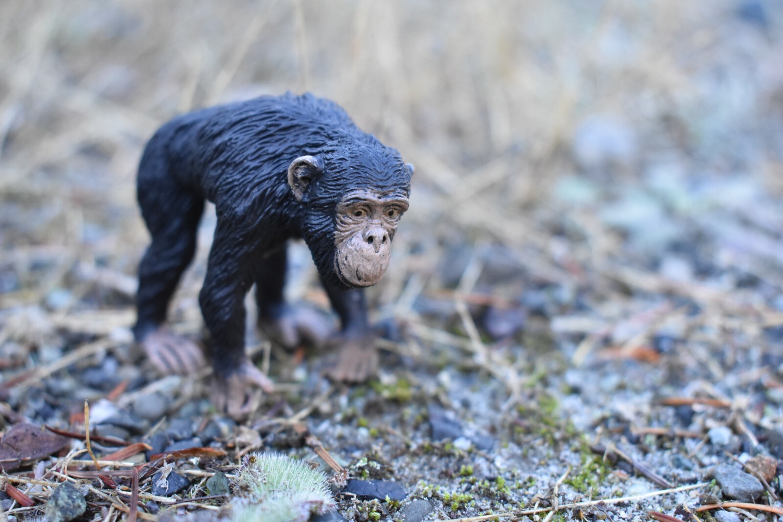 Chimpanzee Female Realistic Small Toy Model Plastic Replica Chimp 2.25″ F8016