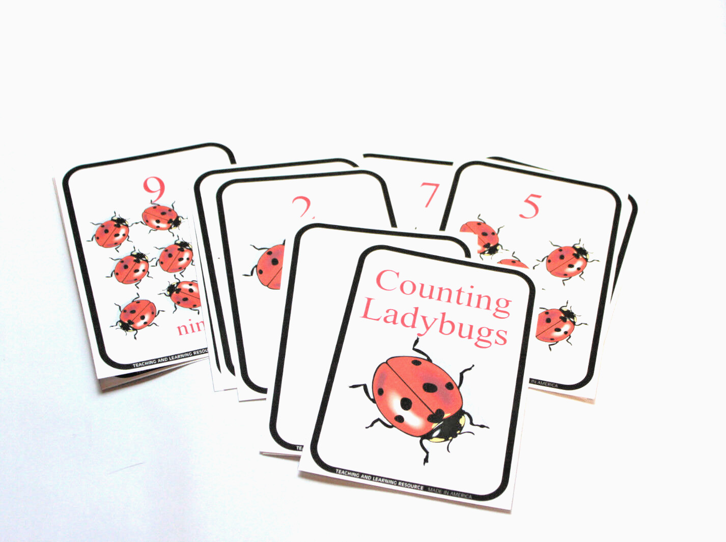 Preschool – 12 cards – Ladybug Counting Cards – Pre school Kindergarten Math