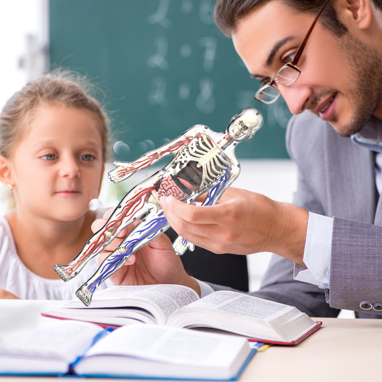 4D Human Body Anatomy Model DIY Skeleton Toys Educational Science Kit for Kid