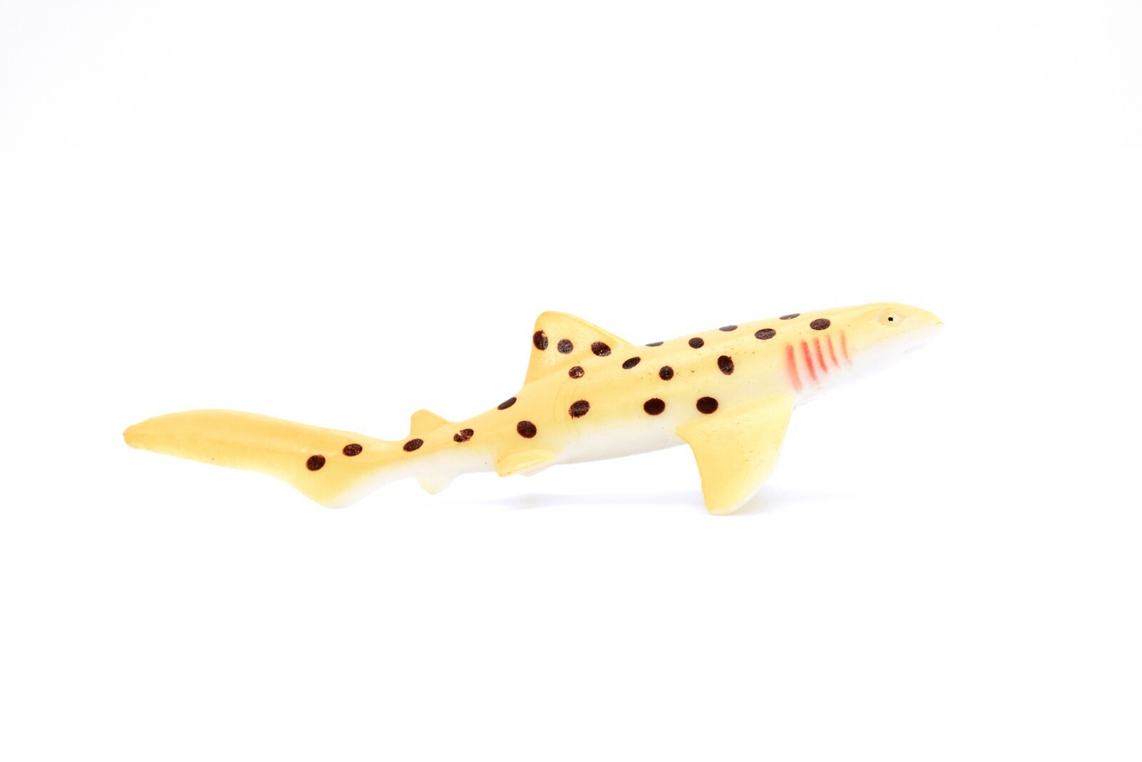 Zebra Shark, Very Nice Plastic Replica 4 1/2″ ~ F0016-B22