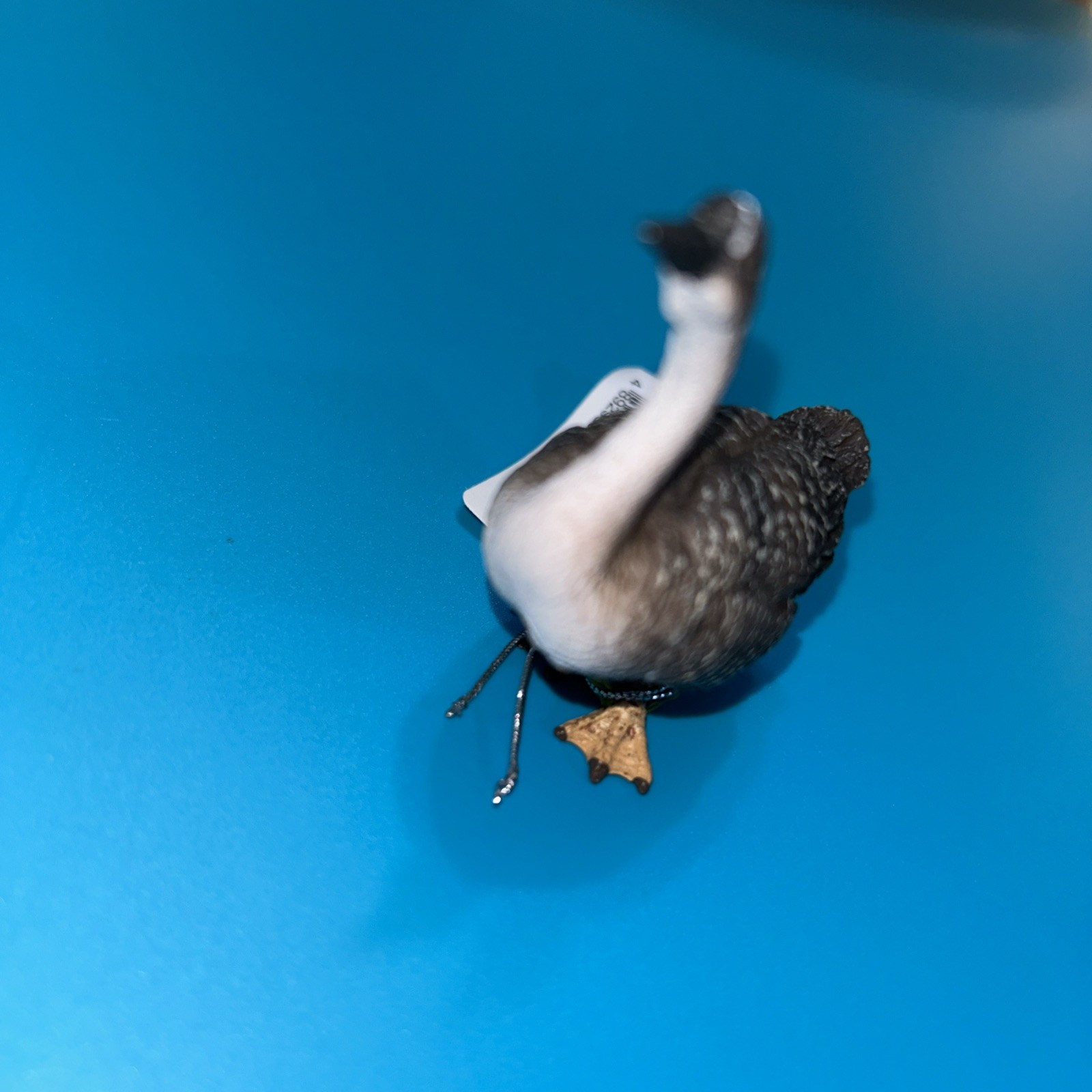 CollectA Goose Item No. 88571 New Retired