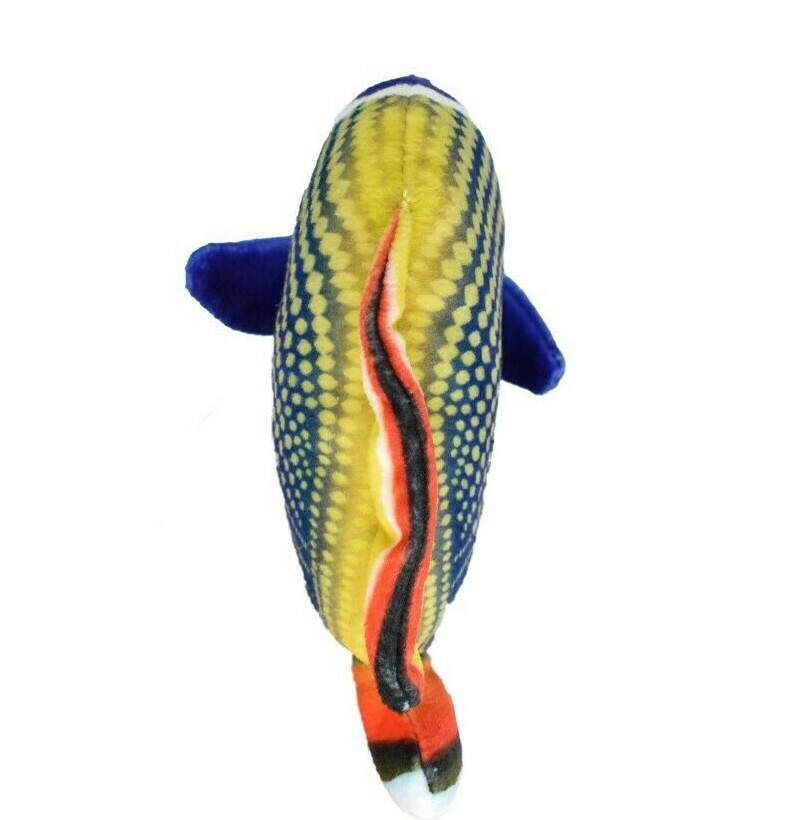 Butterfly Fish, Redtail,Tropical Fish Magnet, Soft Stuffed Fish Toy CWG34BB3