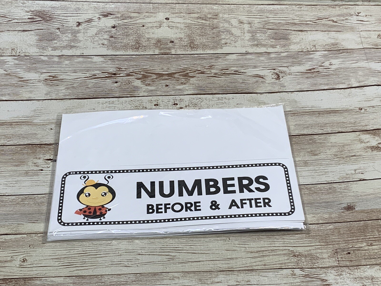 Lady Bug – Themed Learning Centers – Laminated – Numbers Before & After