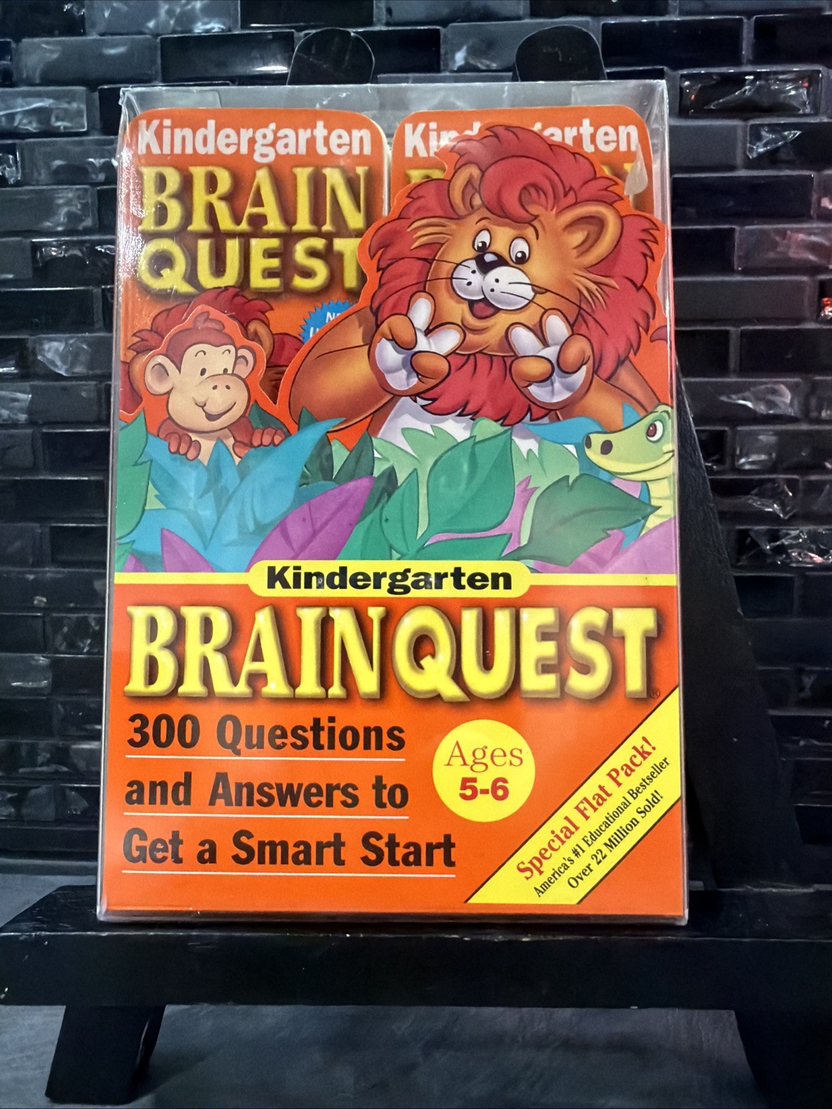 Brain Quest Kindergarten Ages 5-6 300 Q’s Rare, Special Flat Pack, Very HTF!