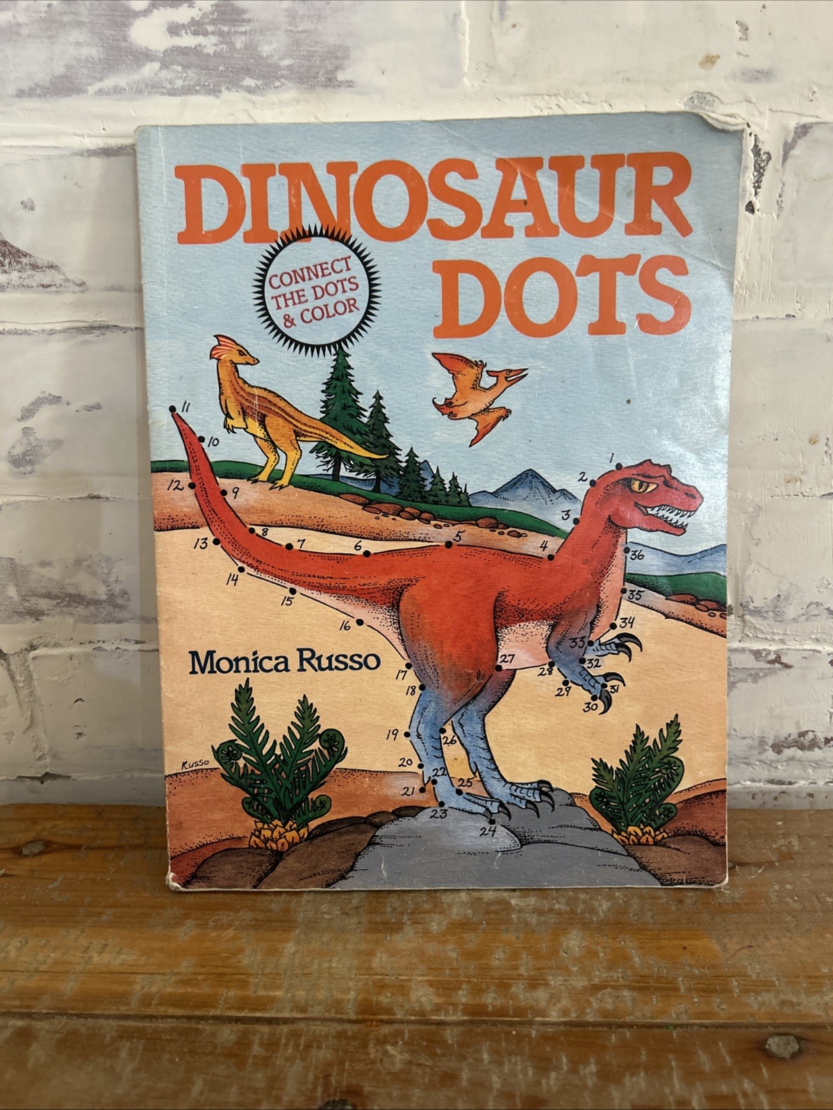 1991 Dinosaur Dots Connect The Dots & Color Coloring Learning Book Monica Russo