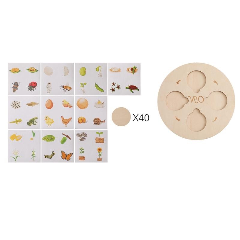 Montessori Magic Cotton Animal Tissue Box Kids Busy Board Finger Exercise Sensor
