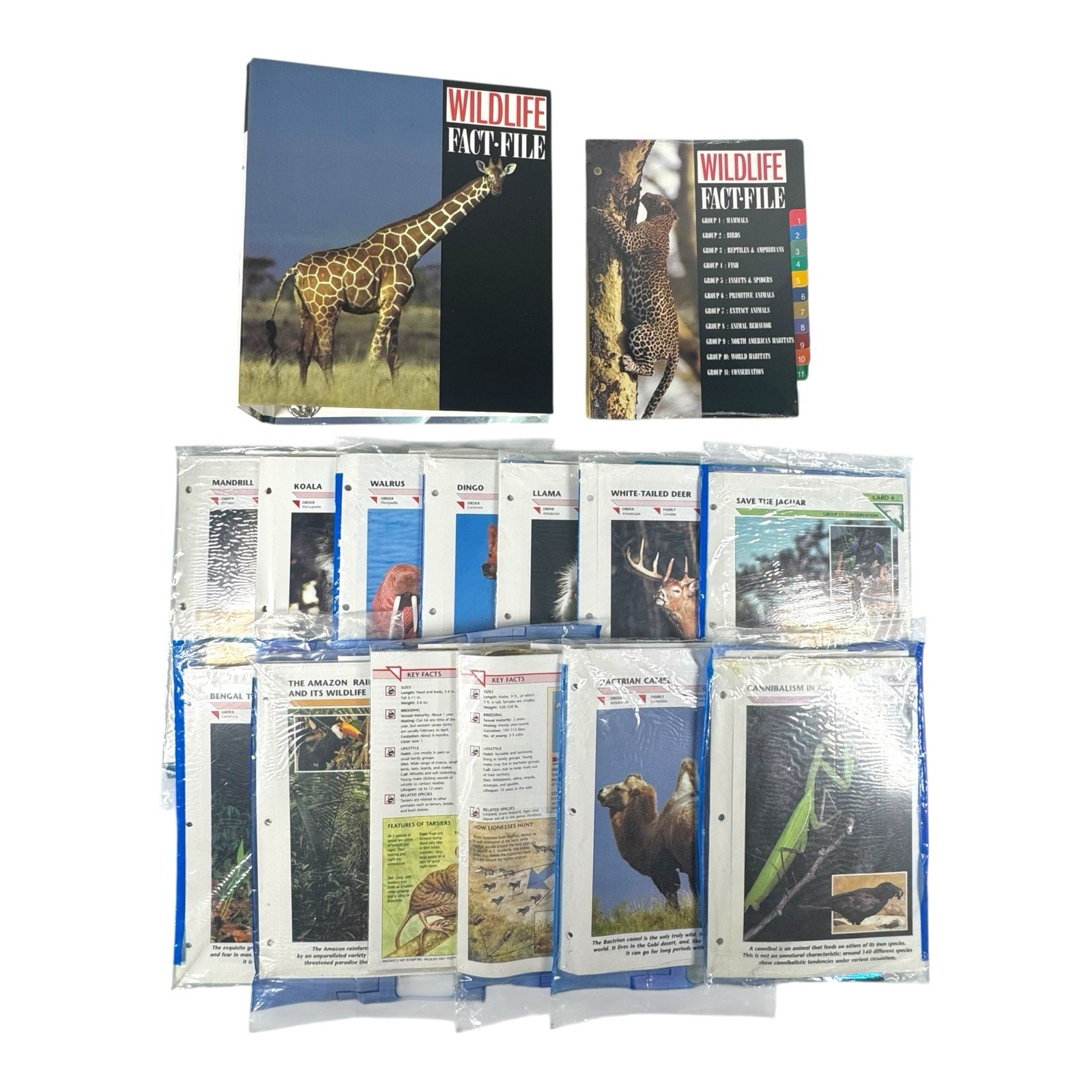Vintage NOS Wildlife Fact File Binder + 13 Sealed Packs Of Cards