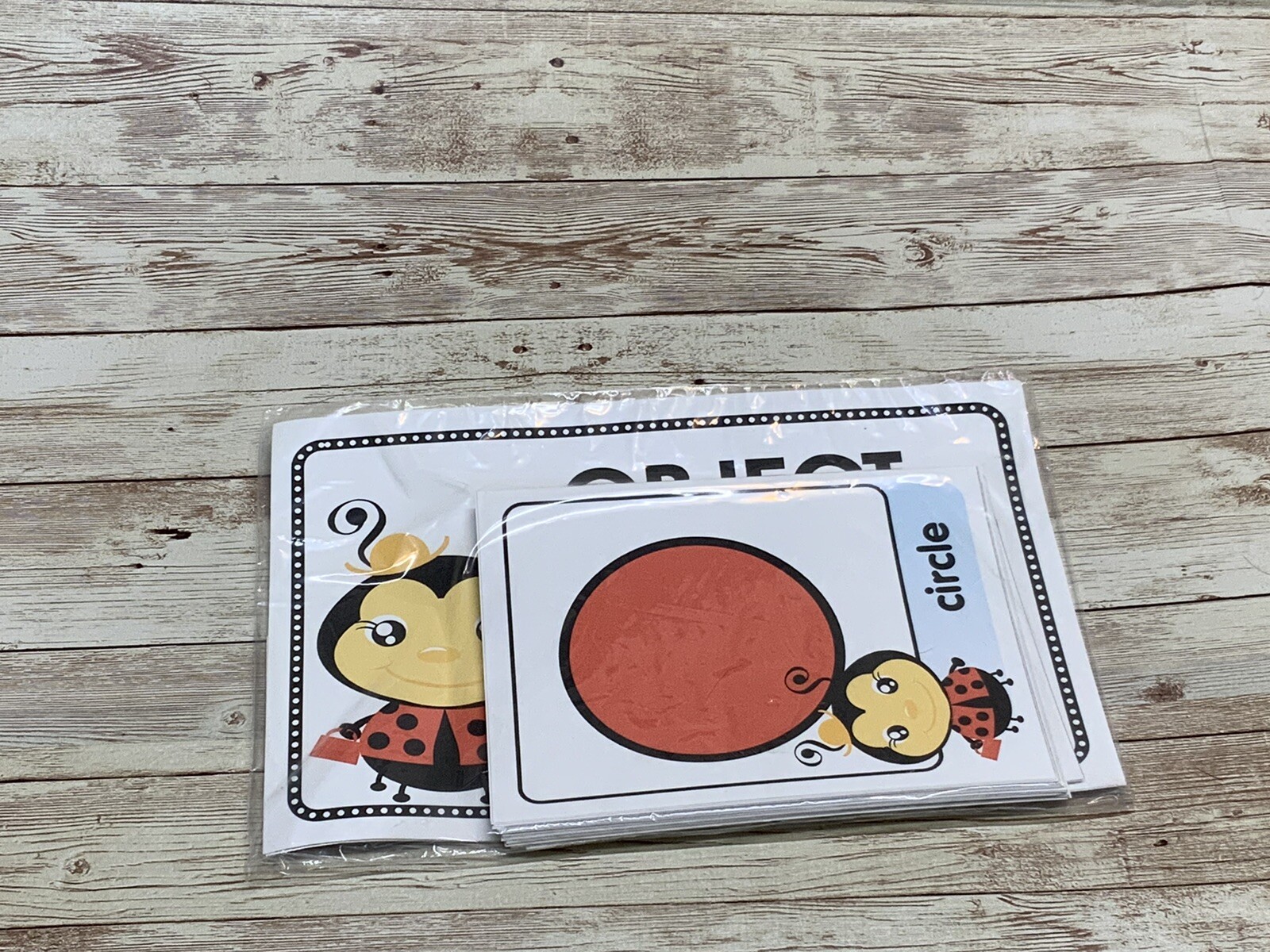Love Bug – Themed Learning Centers – Laminated -Object Shape Match