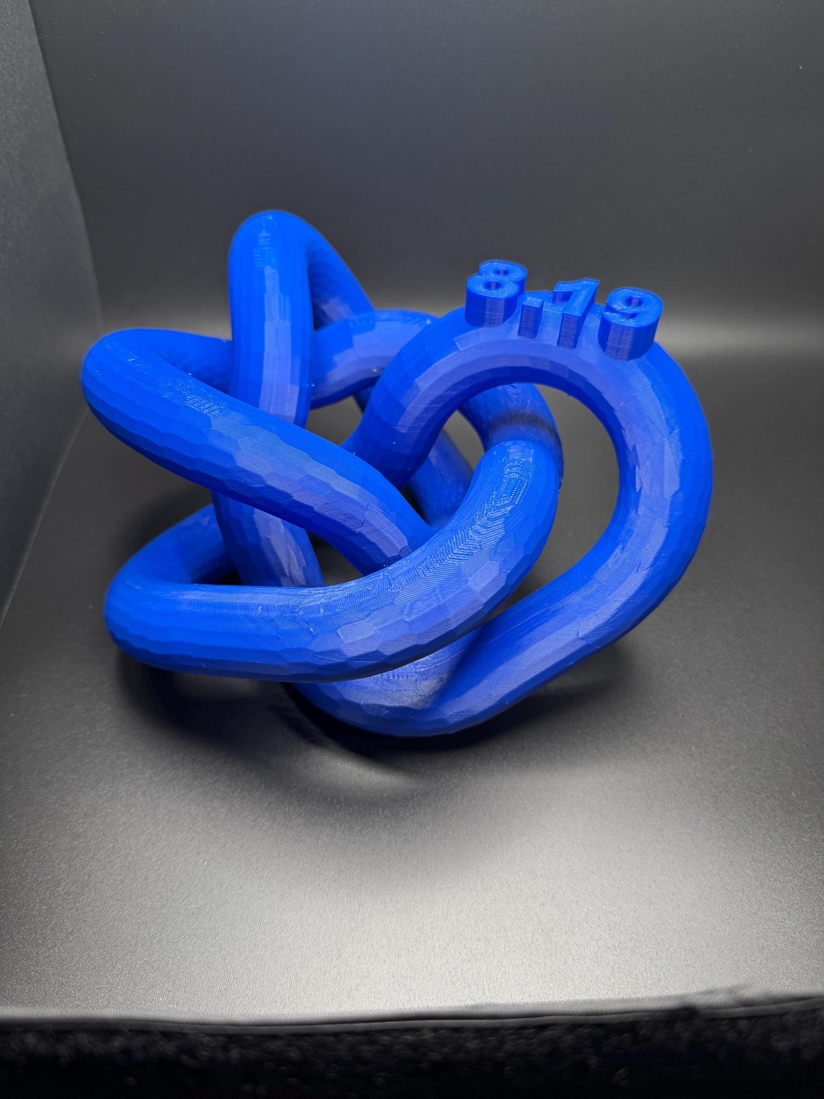 3D Printed 8-19 Knot Art Sculpture – Unique Gift for Home Decor, Modern Art,