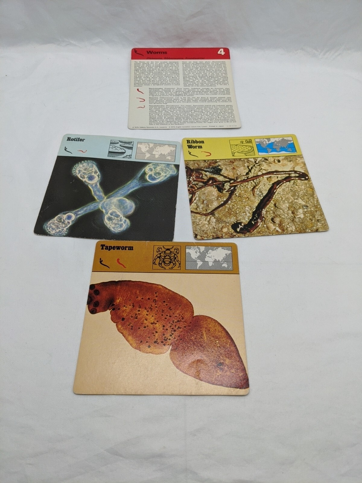 Lot Of (3) 1975 Rencontre Worms Education Cards