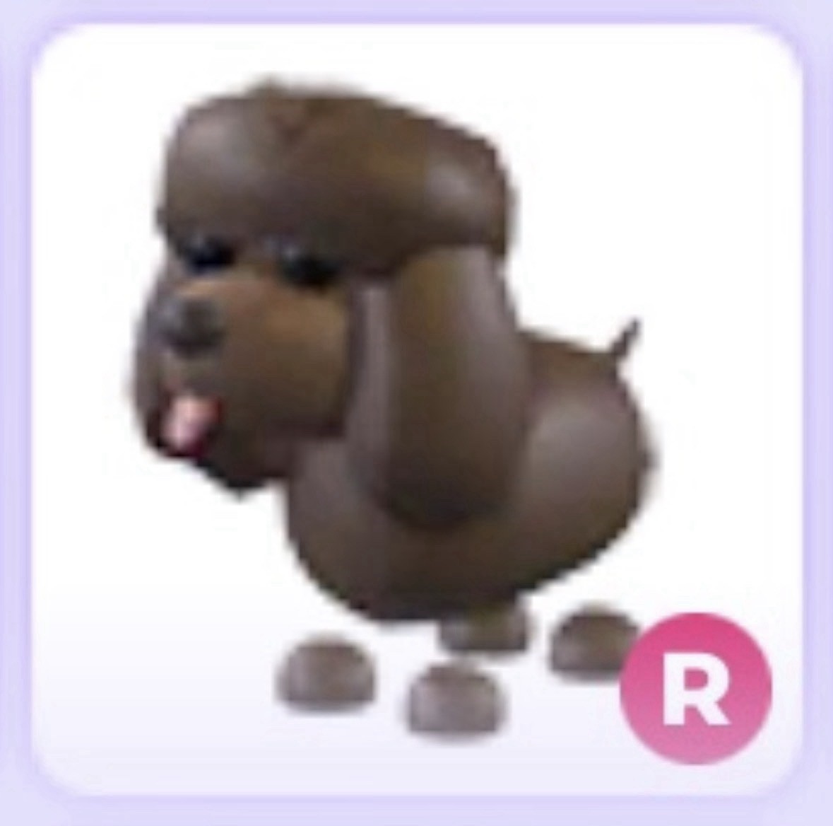 Ride R Irish Water Spaniel❤️ Adopt Me Pet