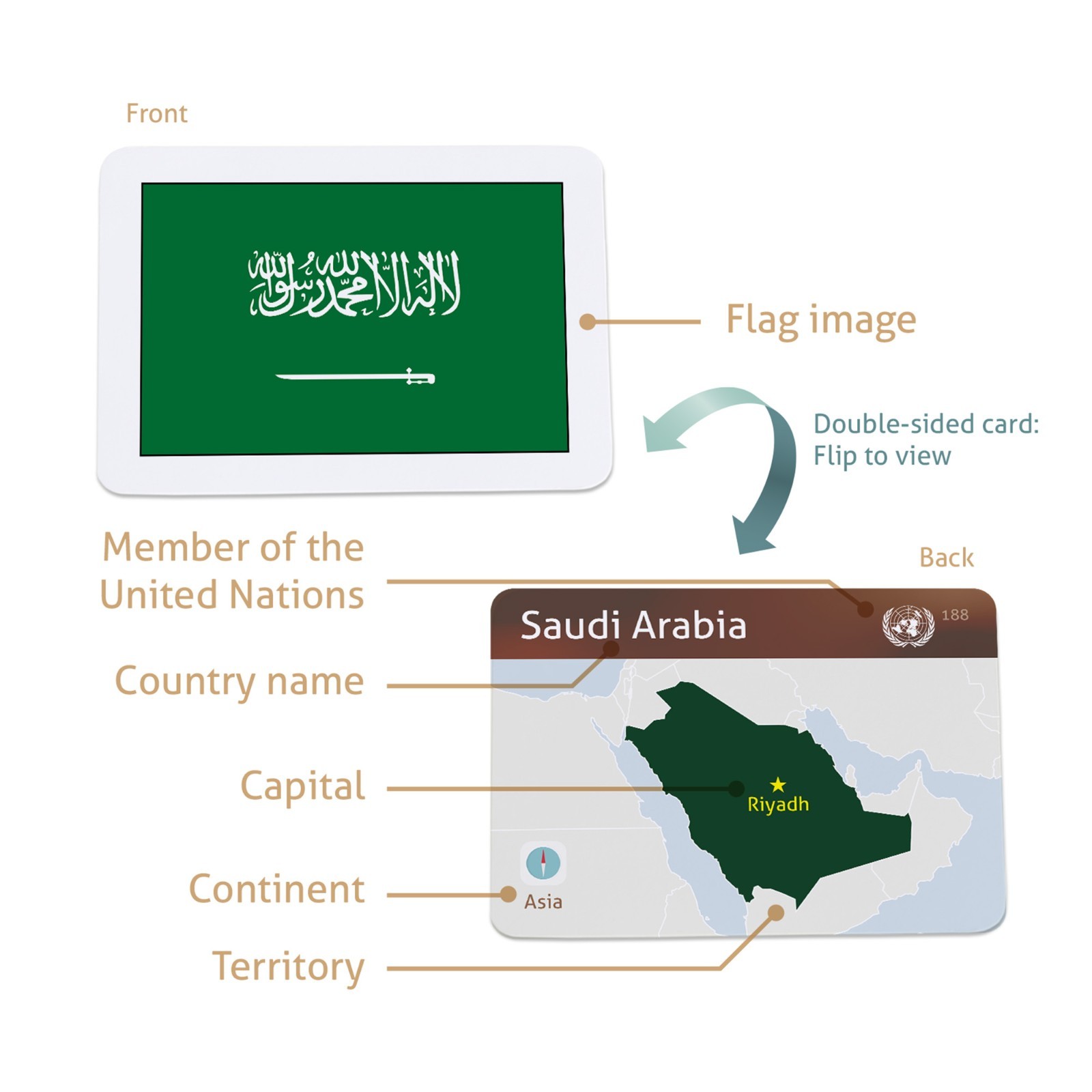 Flags of the World Educational Flashcards