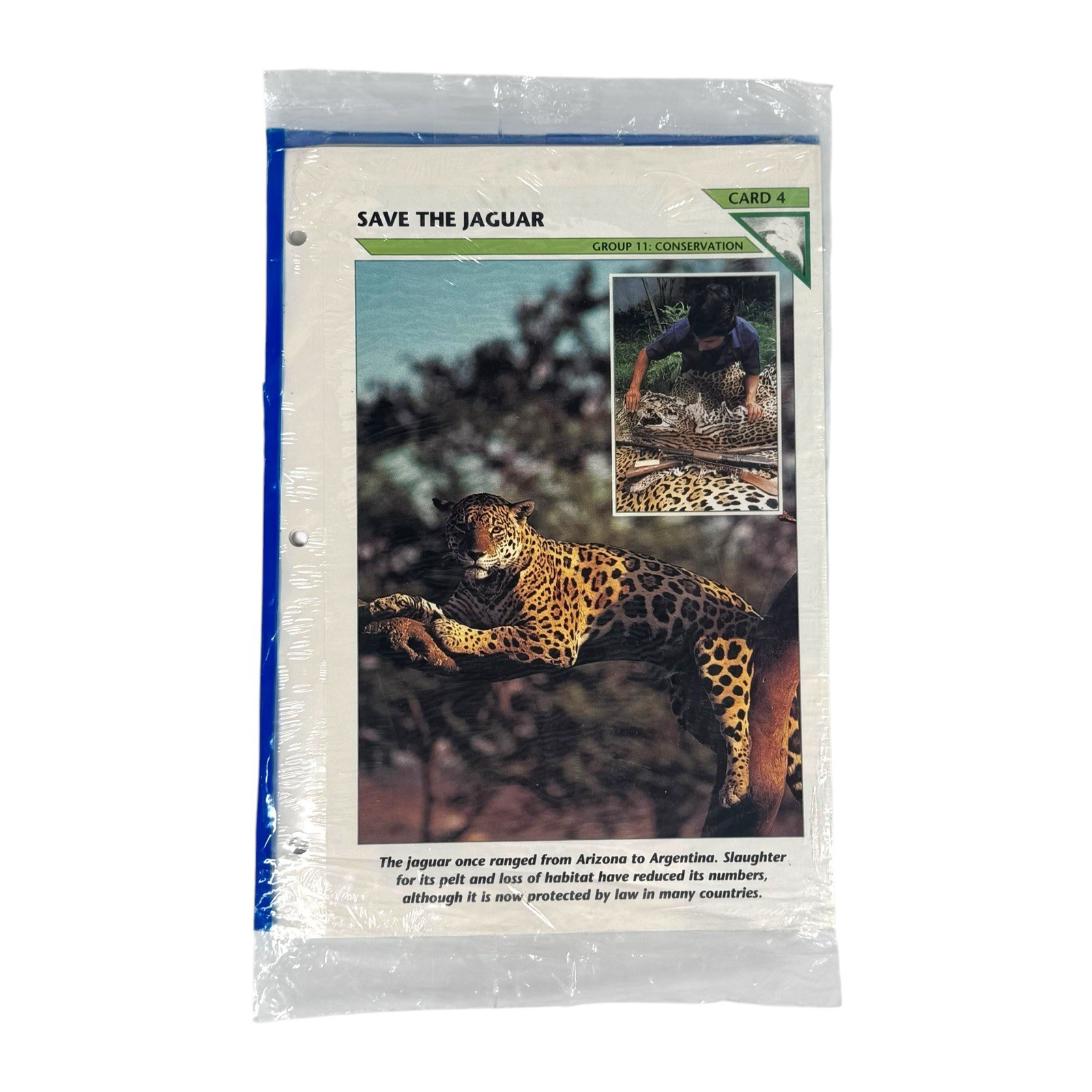 Vintage NOS Wildlife Fact File Binder + 13 Sealed Packs Of Cards