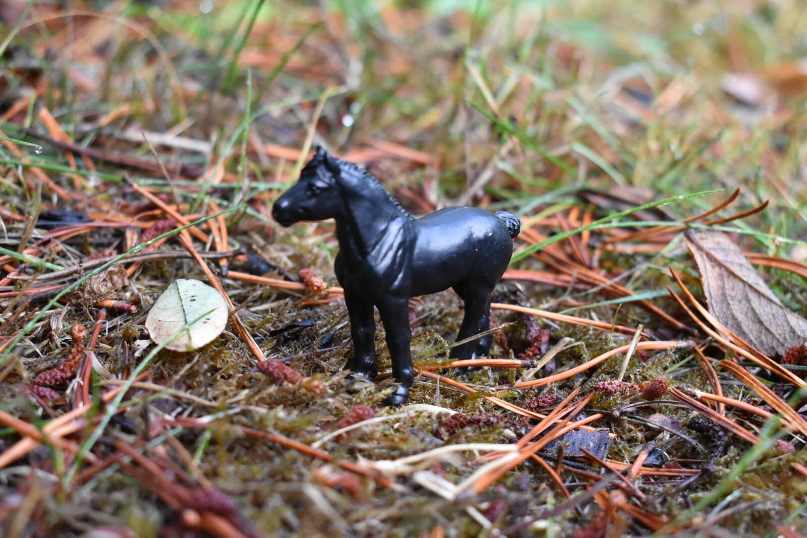 Horse, Black Plastic Toy Animal, Realistic Figure, Farm Model 2 Inches F4159