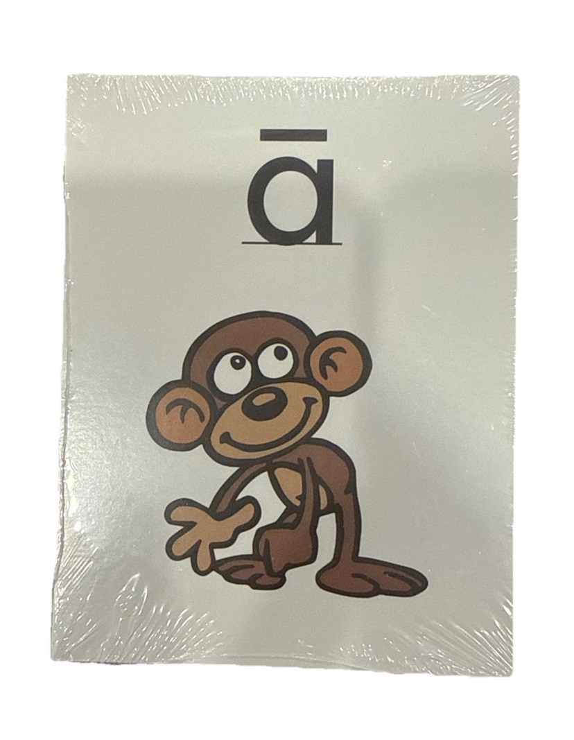 Learning Dynamics Texas ~Alphabet Flash Cards – 1 Pack Unopened 5.5”x 4.5”