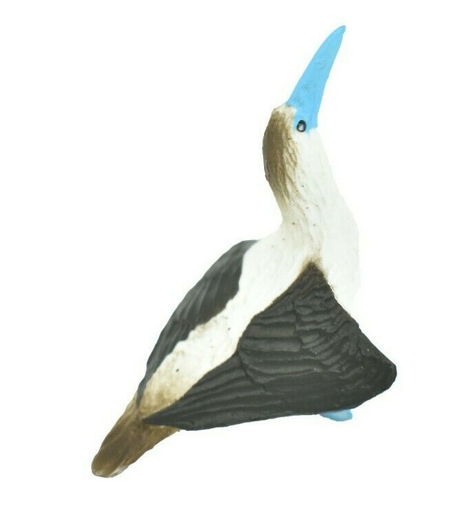 Blue-Footed Booby, Very Nice Plastic Replica 2 -inch – F1521 B150