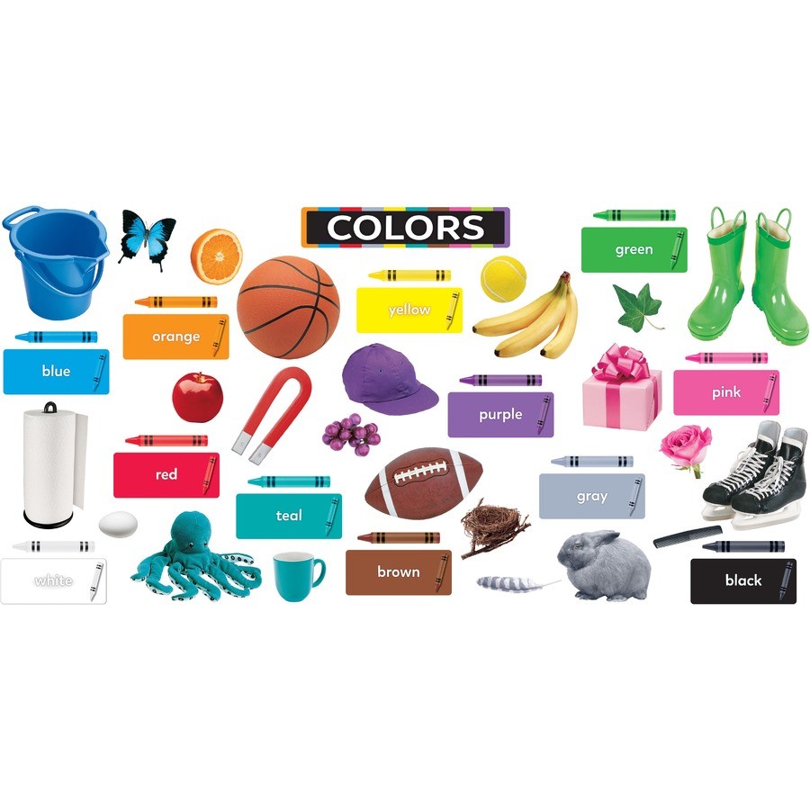 Trend Colors All Around Us Learning Set (t19005)