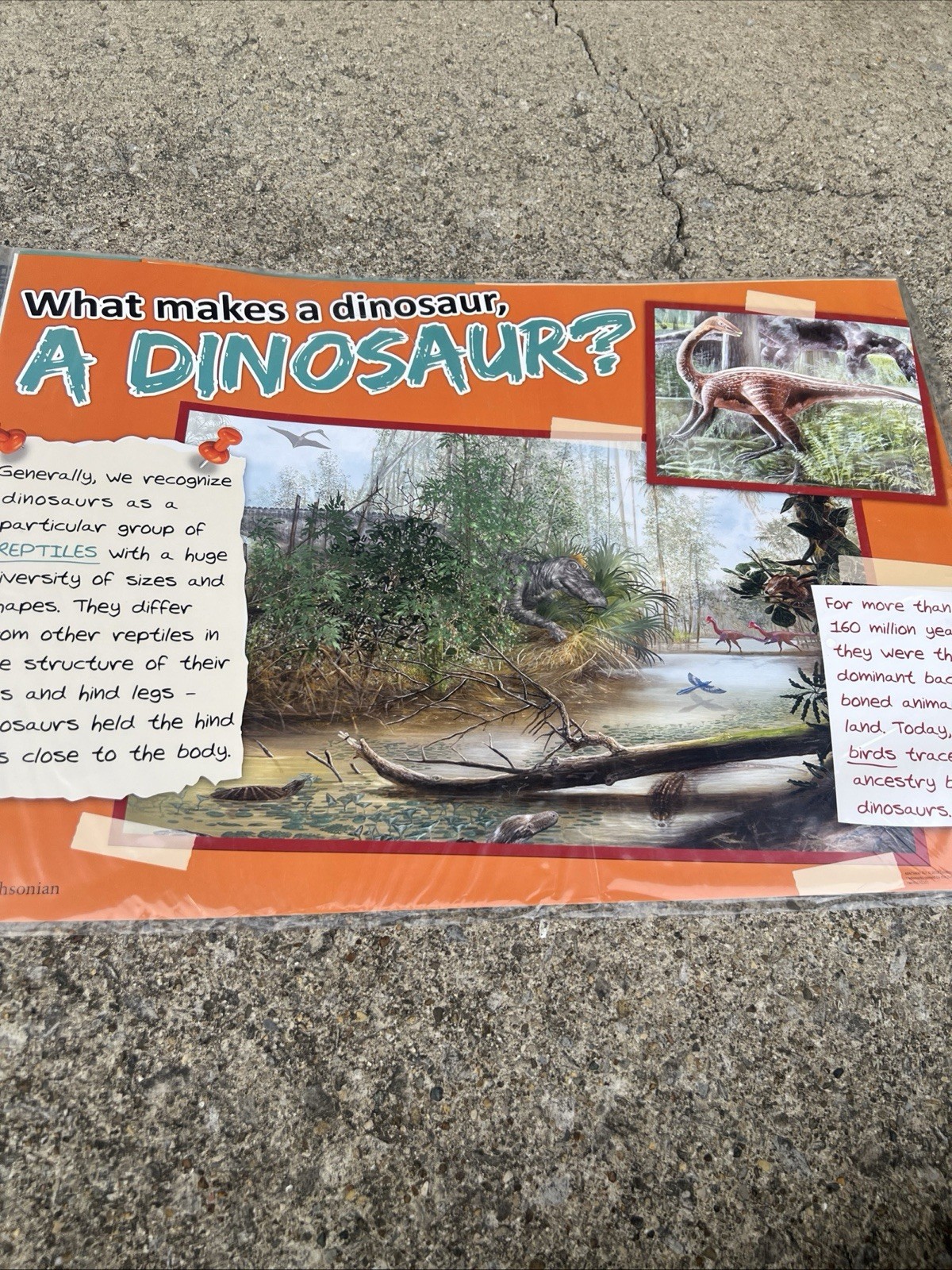 Eureka Smithsonian Triceratops Dinosaur Facts Bulletin Board Classroom Decor 6pc